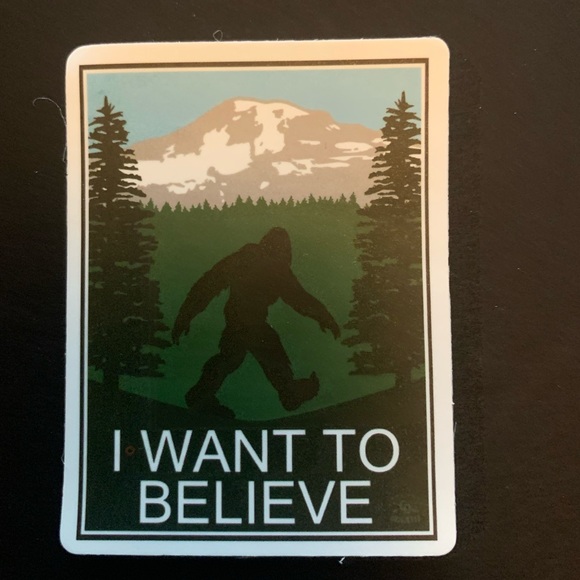 Do you believe in Bigfoot? - Picture 5 of 6